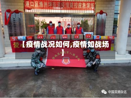 【疫情战况如何,疫情如战场】-第3张图片