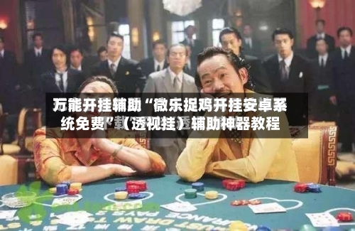 万能开挂辅助“微乐捉鸡开挂安卓系统免费”（透视挂）辅助神器教程-第3张图片