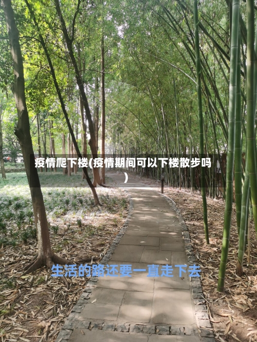 疫情爬下楼(疫情期间可以下楼散步吗)