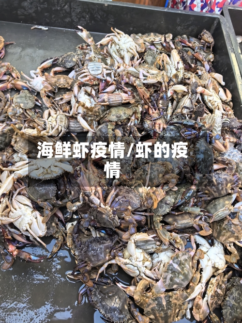 海鲜虾疫情/虾的疫情-第2张图片
