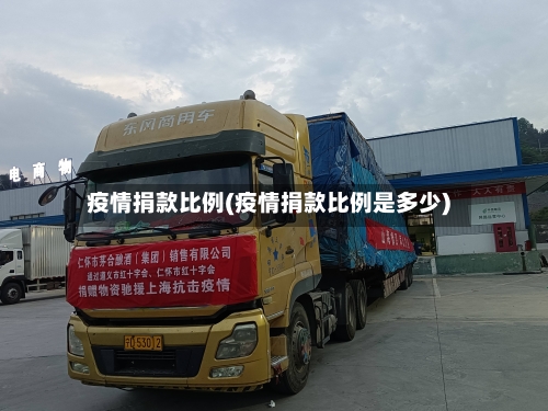 疫情捐款比例(疫情捐款比例是多少)