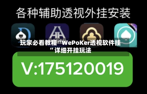 玩家必看教程“WePoKer透视软件挂	”详细开挂玩法-第3张图片