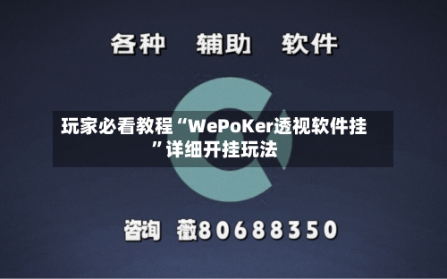 玩家必看教程“WePoKer透视软件挂”详细开挂玩法-第2张图片