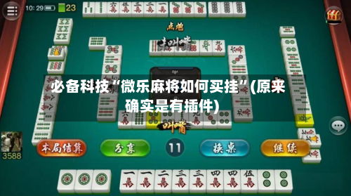 必备科技“微乐麻将如何买挂”(原来确实是有插件)-第2张图片