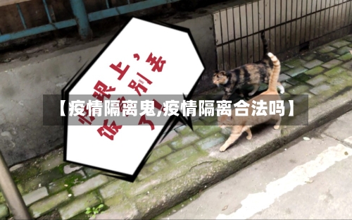 【疫情隔离鬼,疫情隔离合法吗】