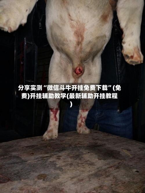 分享实测“微信斗牛开挂免费下载”(免费)开挂辅助教学(最新辅助开挂教程)-第3张图片