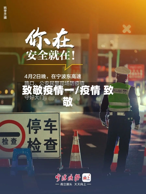 致敬疫情一/疫情 致敬