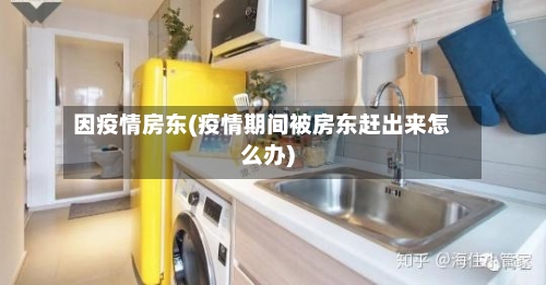因疫情房东(疫情期间被房东赶出来怎么办)