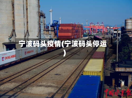 宁波码头疫情(宁波码头停运)