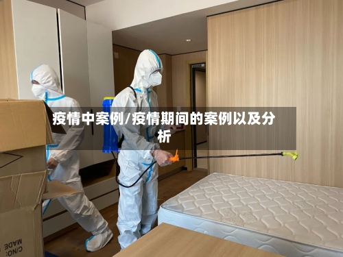 疫情中案例/疫情期间的案例以及分析