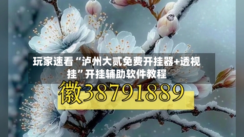 玩家速看“泸州大贰免费开挂器+透视挂”开挂辅助软件教程-第1张图片