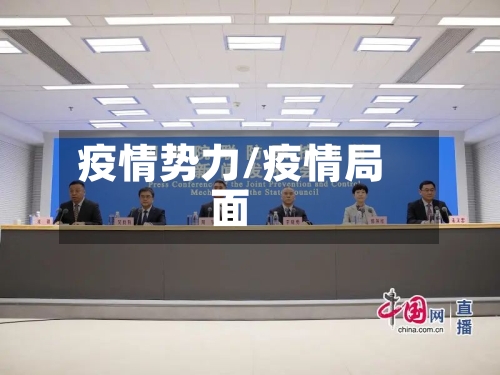疫情势力/疫情局面