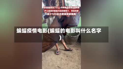 蝙蝠疫情电影(蝙蝠的电影叫什么名字)