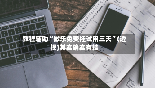 教程辅助“微乐免费挂试用三天”(透视)其实确实有挂