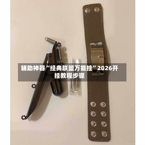 辅助神器“经典联盟万能挂”2026开挂教程步骤-第2张图片
