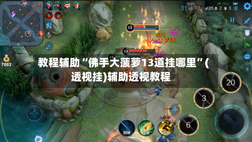 教程辅助“佛手大菠萝13道挂哪里”(透视挂)辅助透视教程