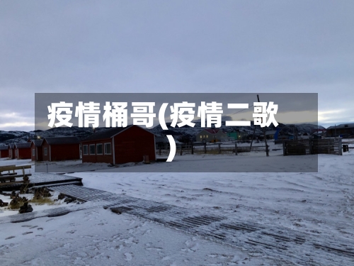疫情桶哥(疫情二歌)