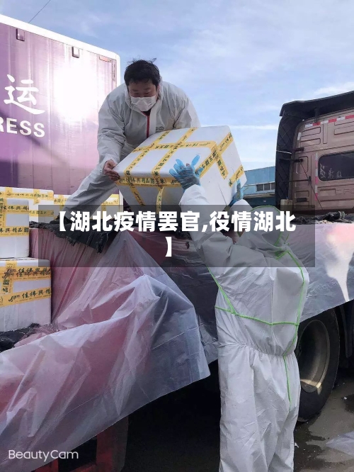 【湖北疫情罢官,役情湖北】
