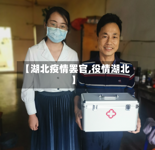 【湖北疫情罢官,役情湖北】-第2张图片