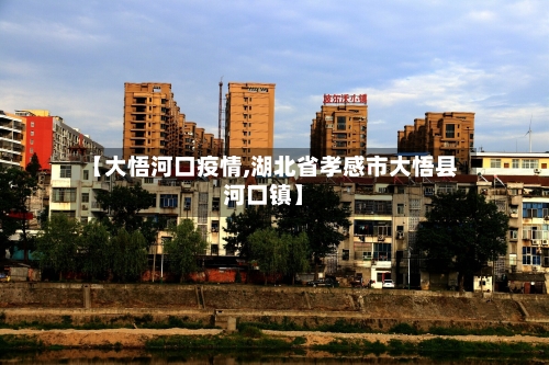 【大悟河口疫情,湖北省孝感市大悟县河口镇】