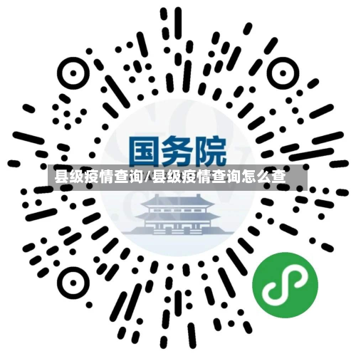 县级疫情查询/县级疫情查询怎么查