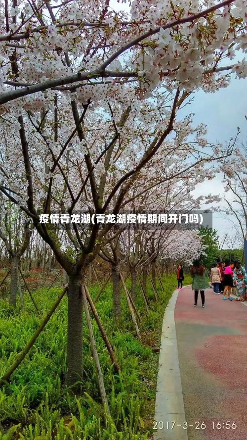 疫情青龙湖(青龙湖疫情期间开门吗)-第2张图片
