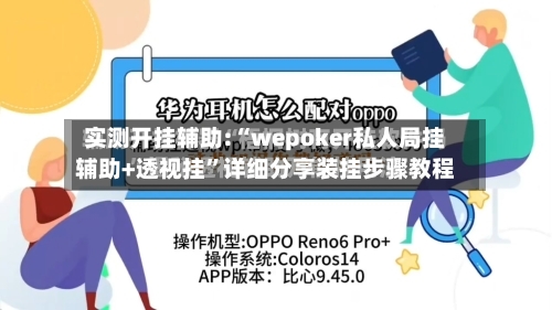 实测开挂辅助:“wepoker私人局挂辅助+透视挂”详细分享装挂步骤教程-第2张图片