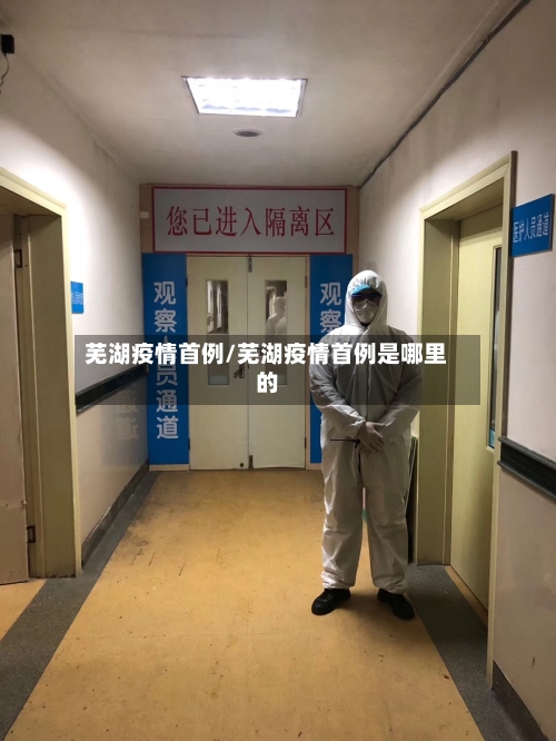 芜湖疫情首例/芜湖疫情首例是哪里的