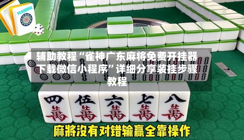 辅助教程“雀神广东麻将免费开挂器下载微信小程序”详细分享装挂步骤教程-第3张图片