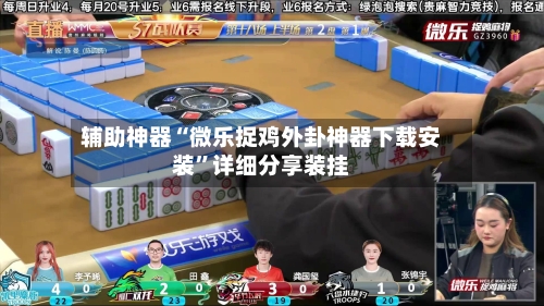 辅助神器“微乐捉鸡外卦神器下载安装”详细分享装挂-第2张图片