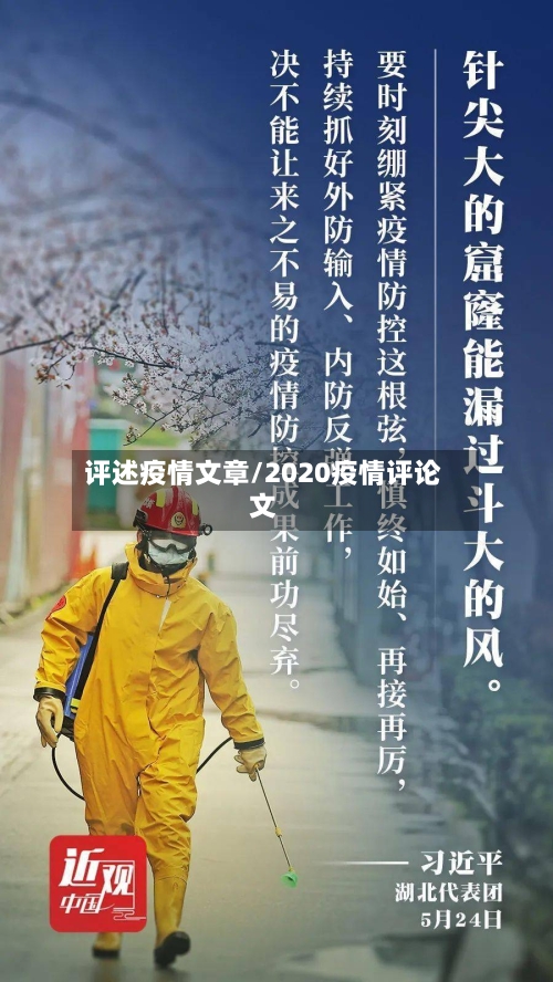 评述疫情文章/2020疫情评论文
