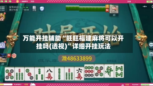 万能开挂辅助“旺旺福建麻将可以开挂吗(透视)”详细开挂玩法