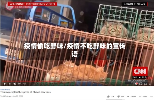 疫情偷吃野味/疫情不吃野味的宣传语-第3张图片