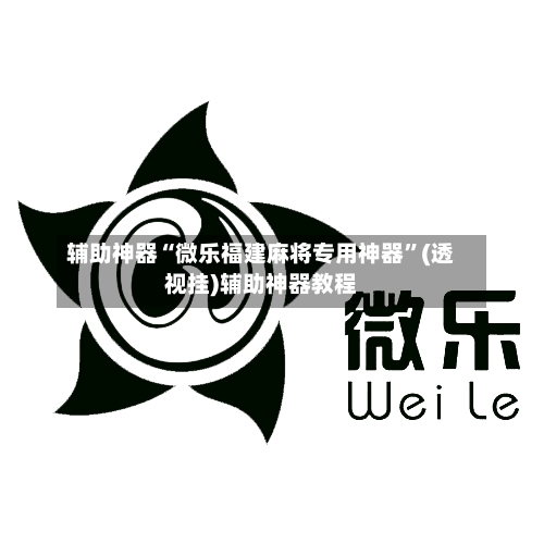 辅助神器“微乐福建麻将专用神器”(透视挂)辅助神器教程-第3张图片