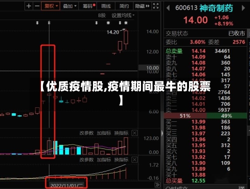 【优质疫情股,疫情期间最牛的股票】