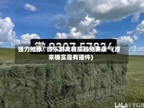 强力推荐“微乐游戏辅助器免费版”(原来确实是有插件)-第2张图片