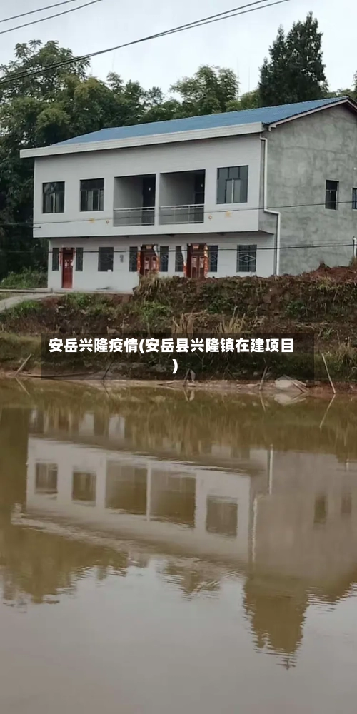 安岳兴隆疫情(安岳县兴隆镇在建项目)-第2张图片