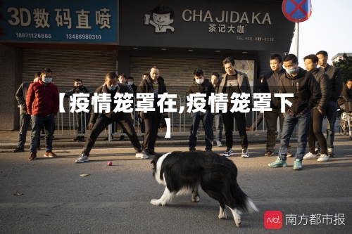 【疫情笼罩在,疫情笼罩下】-第1张图片