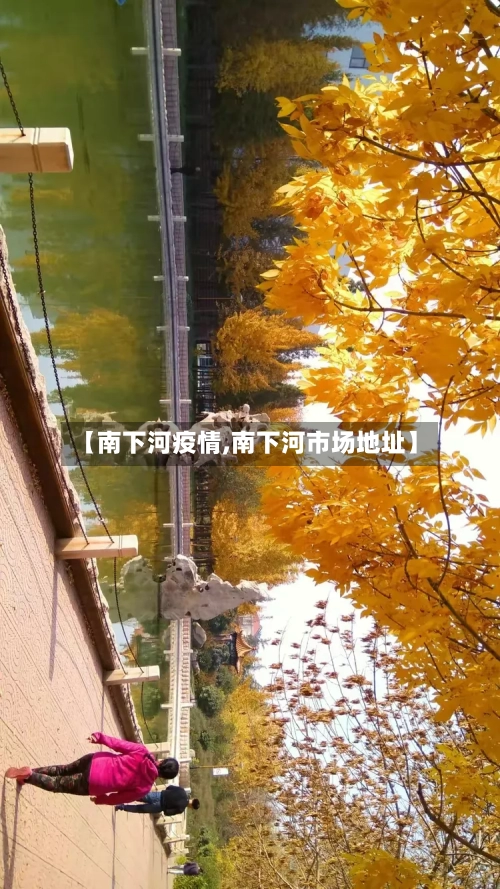【南下河疫情,南下河市场地址】-第2张图片