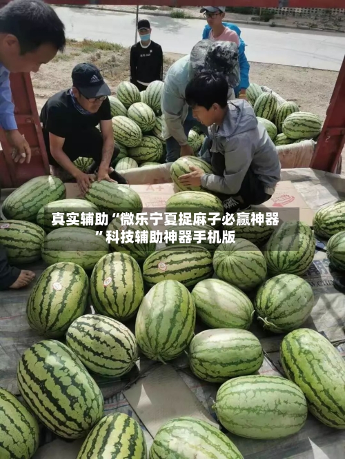 真实辅助“微乐宁夏捉麻子必赢神器”科技辅助神器手机版-第3张图片