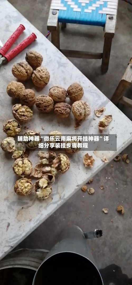辅助神器“微乐云南麻将开挂神器	”详细分享装挂步骤教程-第3张图片