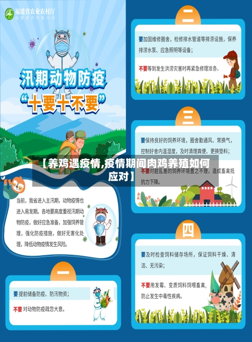 【养鸡遇疫情,疫情期间肉鸡养殖如何应对】-第2张图片