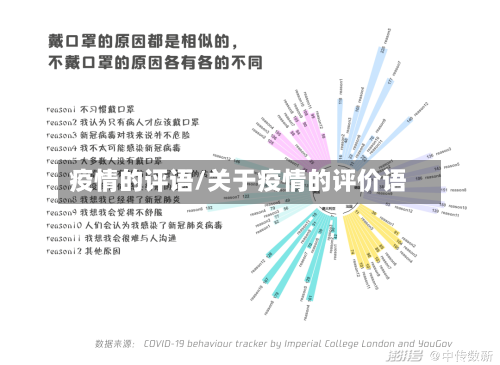 疫情的评语/关于疫情的评价语