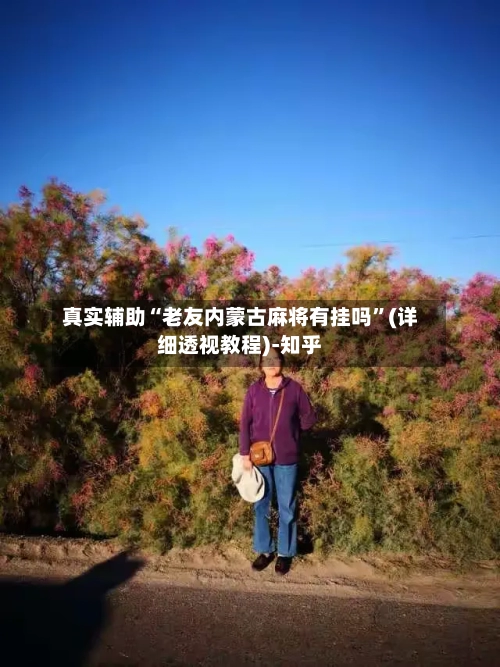 真实辅助“老友内蒙古麻将有挂吗”(详细透视教程)-知乎-第3张图片