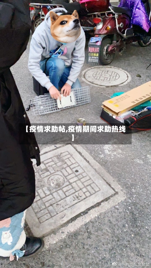 【疫情求助帖,疫情期间求助热线】-第2张图片