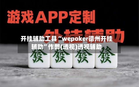 开挂辅助工具“wepoker德州开挂辅助”作弊(透视)透视辅助-第3张图片