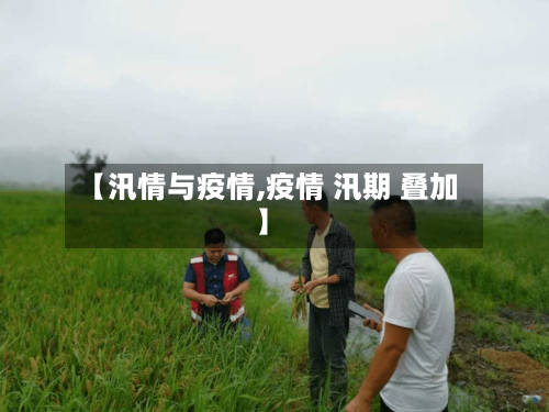 【汛情与疫情,疫情 汛期 叠加】