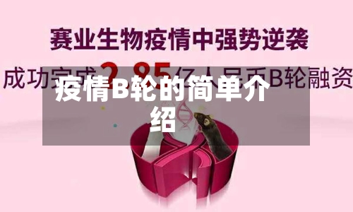 疫情B轮的简单介绍-第3张图片