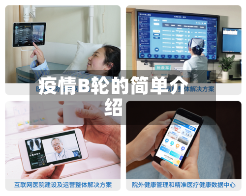 疫情B轮的简单介绍