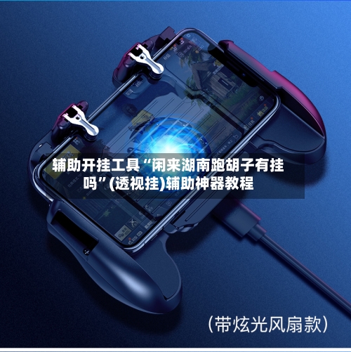 辅助开挂工具“闲来湖南跑胡子有挂吗”(透视挂)辅助神器教程